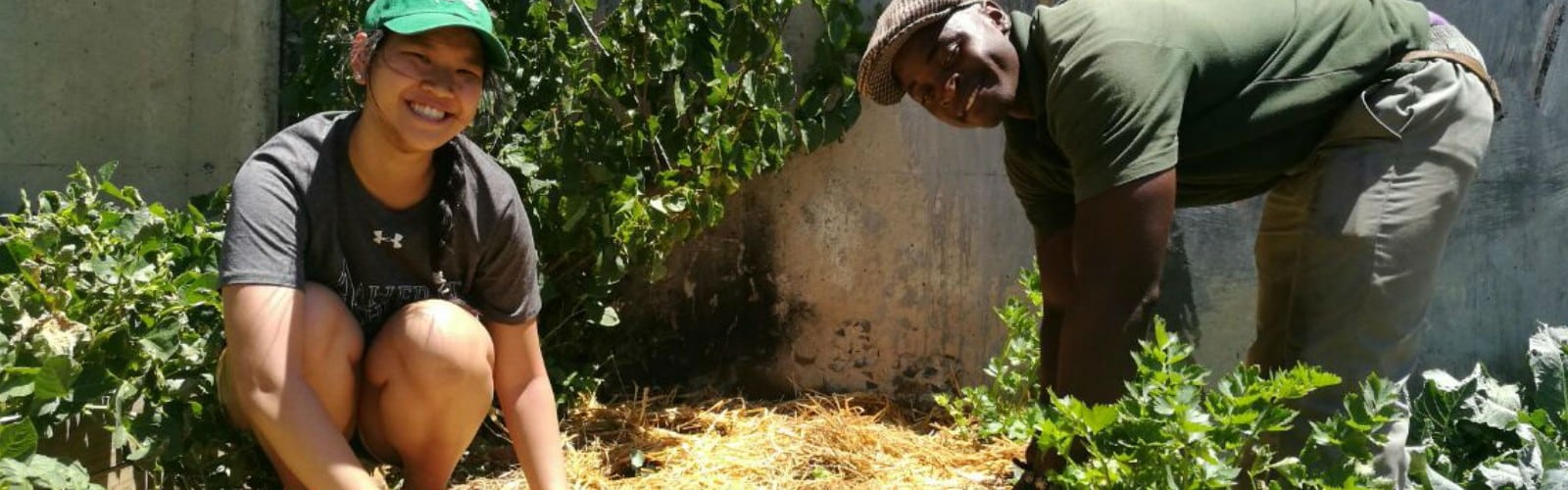 A Day with Vera, Food Security and Urban Farming Intern