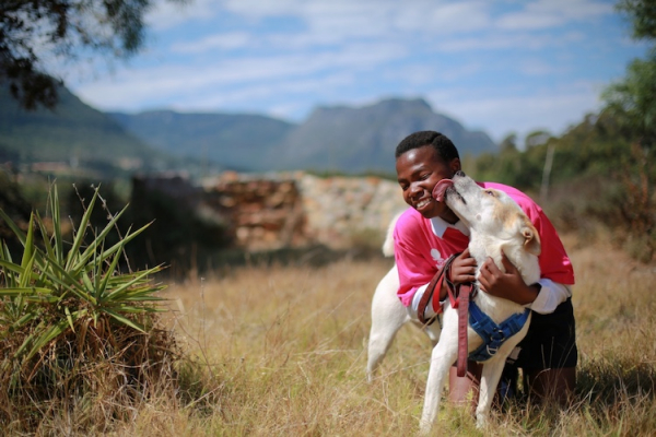 dog charity internship Cape Town