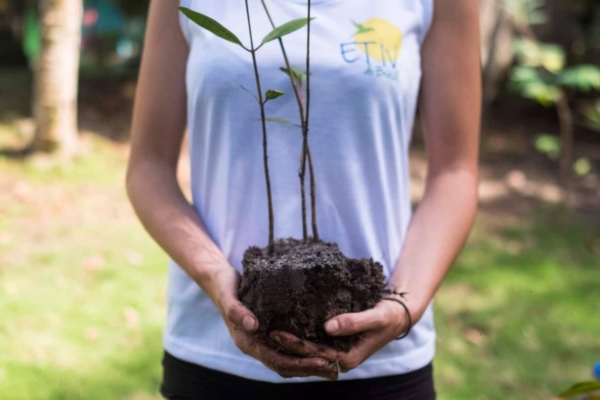 nature conservation intern in Brazil holding a tree to be planted