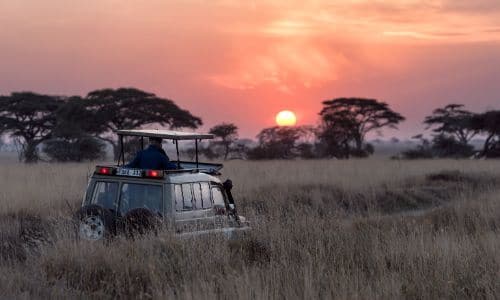 a man in a car watching the sun rise in Tanzania