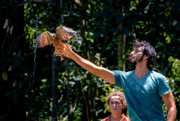 An intern helping a falcon fly.