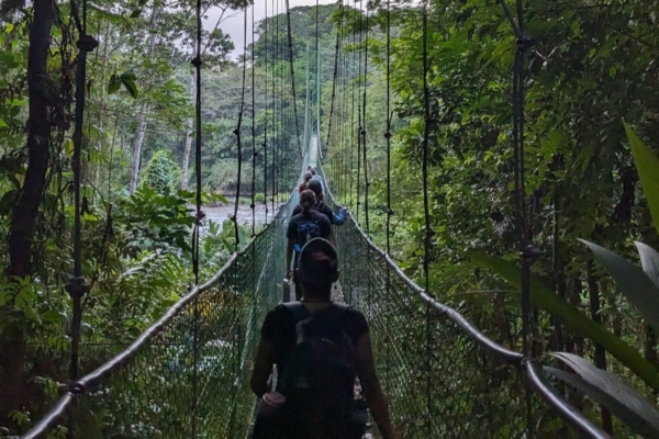 students walking along a bridge in Tirimbina, Costa Rica during a sustainable development micro-internship