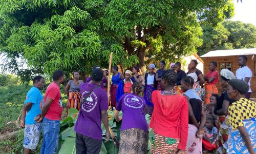 A group of people in Malawi stands under a large tree, attentively participating in an agroforestry demonstration. They wear vibrant clothing and are focused on the activity in their rural setting.