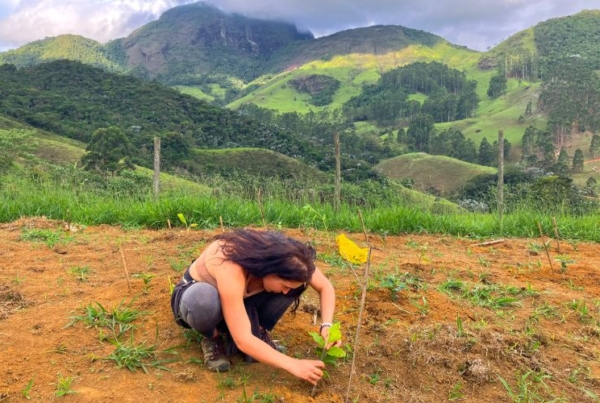 Intern transplanting a young plant into the soil.