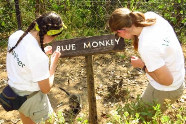 Two interns putting up a sign in the Lilongwe Wildlife Sanctuary.