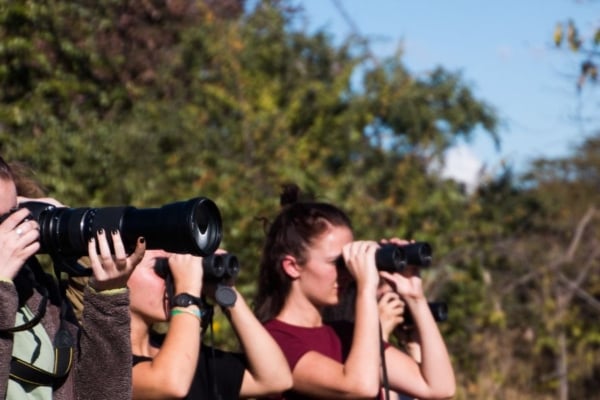 Wildlife research interns using binoculars and camera equipment in the field