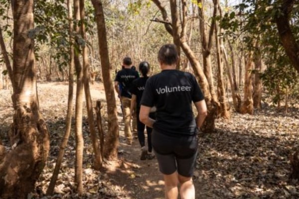 Volunteers walking through forest during wildlife sanctuary activities