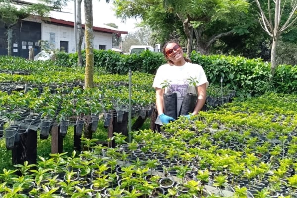 An intern amongst the plants while in her Social Business Internship in Latin America.