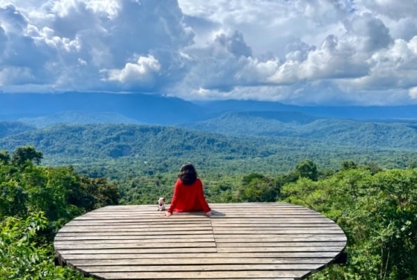Enjoying the Amazon rainforest view during an animal welfare internship in Ecuador.