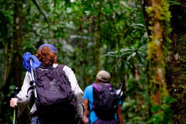 Interns hiking through the Amazon jungle while interning in Ecuador.