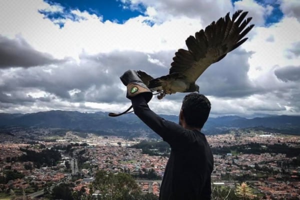 Assisting with bird care at a wildlife rehabilitation center in Ecuador.