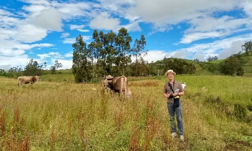 Luke standing in a grassy field with cows under a blue sky