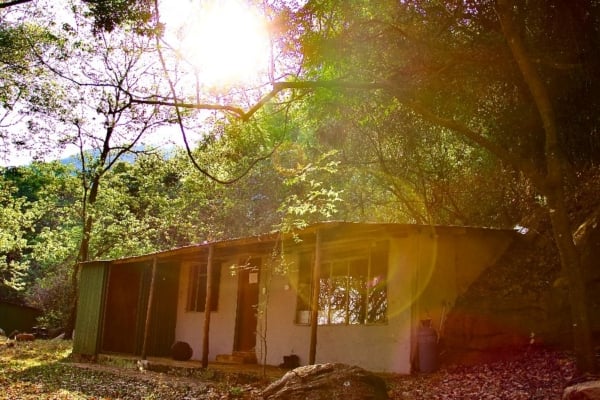 Remote research station building surrounded by forest