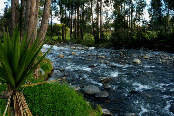 river in Cuenca, Ecuador