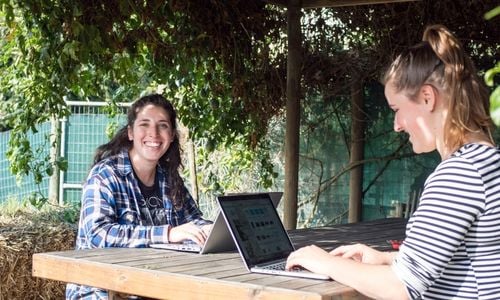Two interns working on laptops outside.
